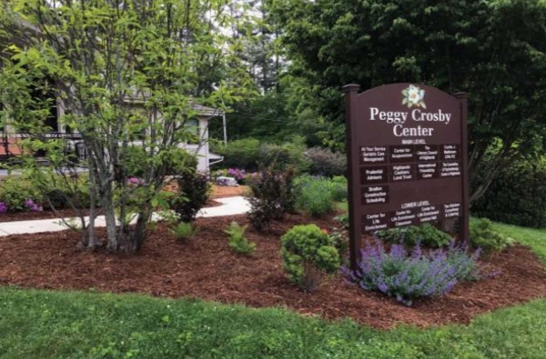 You Grow Girls - Laurel Garden Club - Laurel Magazine Article - July 2017