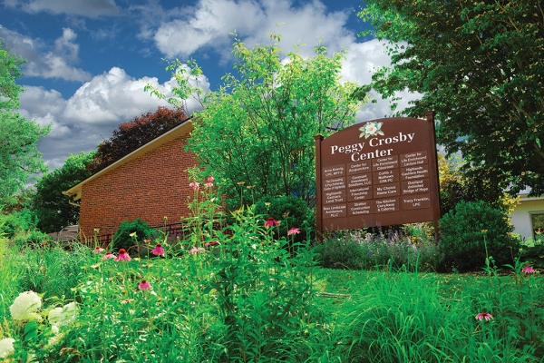 Wheel Within a Wheel